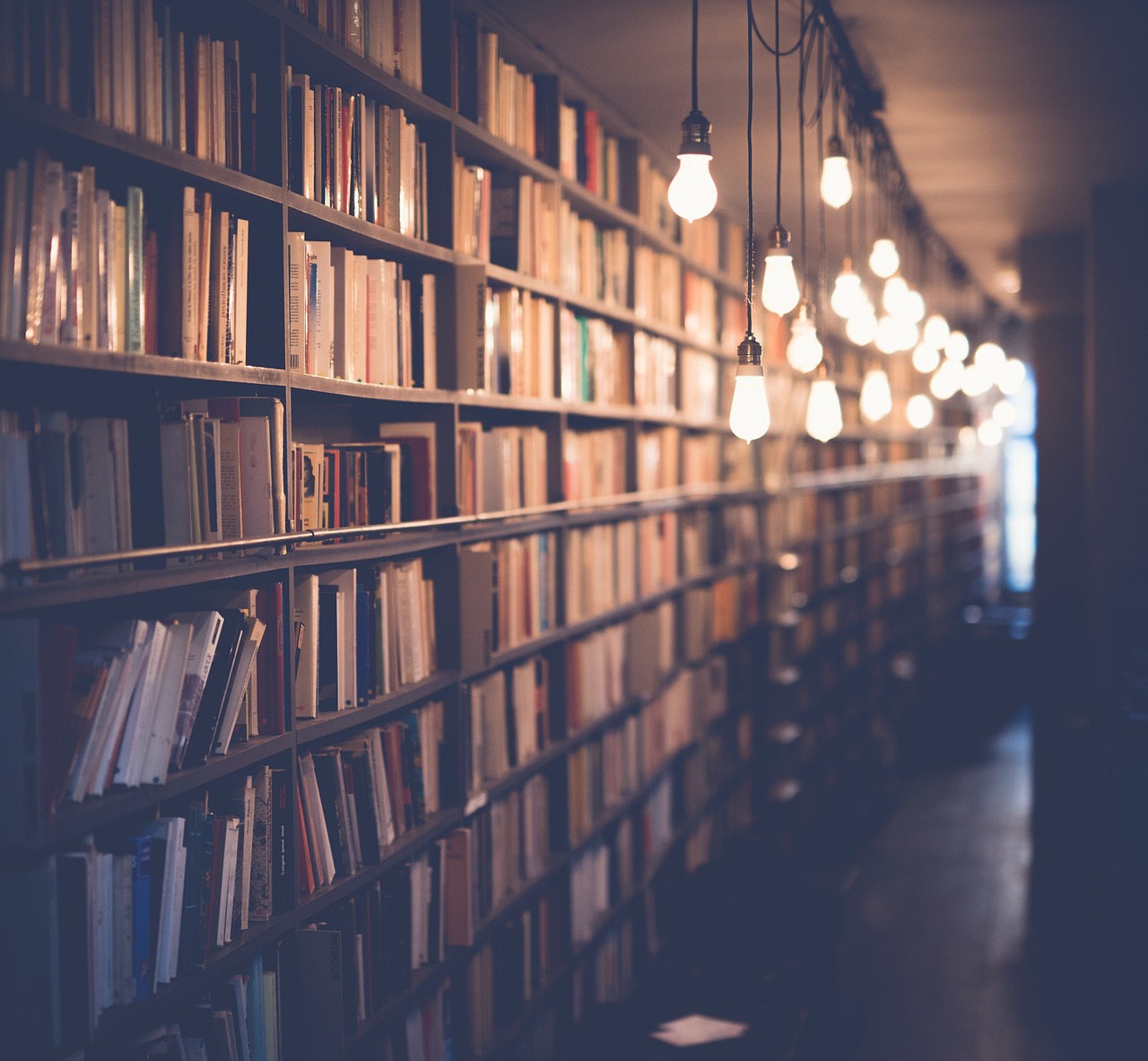 Education Background
